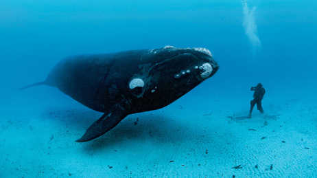 Respect in Relationships Enriches All