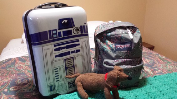 Don't you just love the R2D2 roller bag? I think that all aspects of travel should be fun - even the luggage.