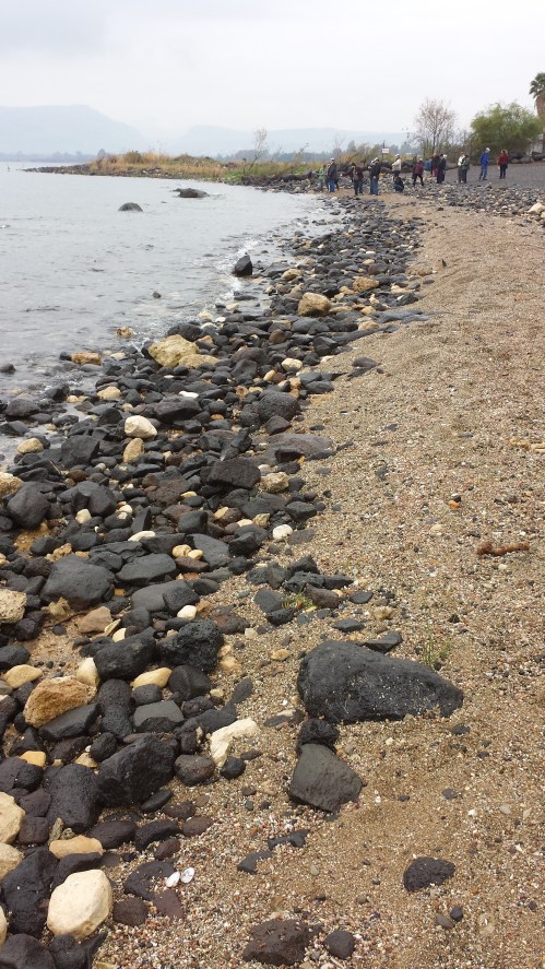 The shore of the Sea of Galilee beside Peter’s Primacy