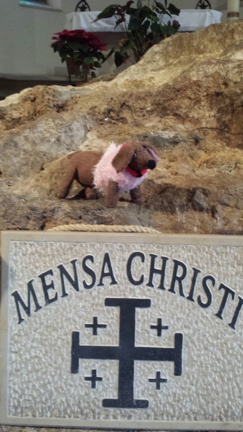 Touching the rock is okay, and some of it is very smooth from where many b pilgrims have touched the surface over the centuries