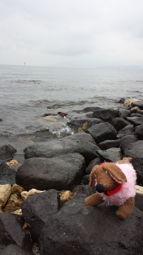 Notice the black basalt I'm standing on that is typical of this area - it was the preferred building material during the first century