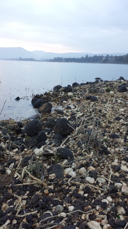 More typical of the Galilean shore