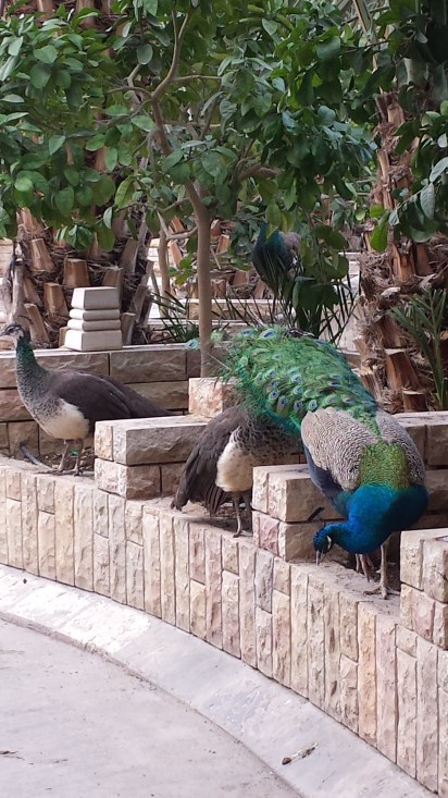 Outside our restaurant.