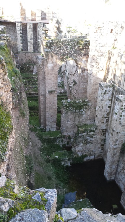 Ruins of the Healing Pools of Bethesda