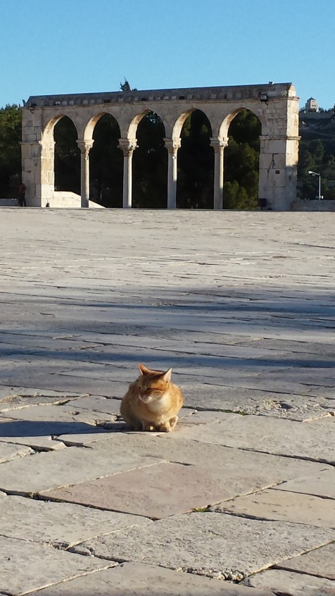Looking towards the crusader stable, Temple Mount