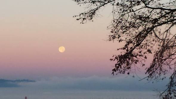 Thanksgiving Moon Set